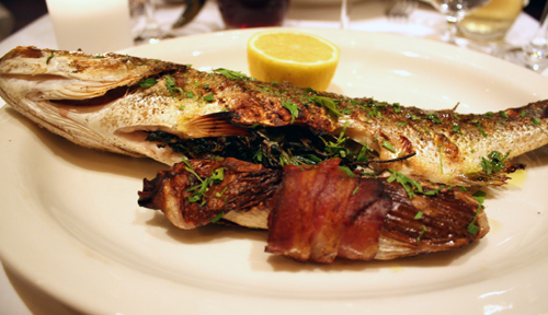 babbo5