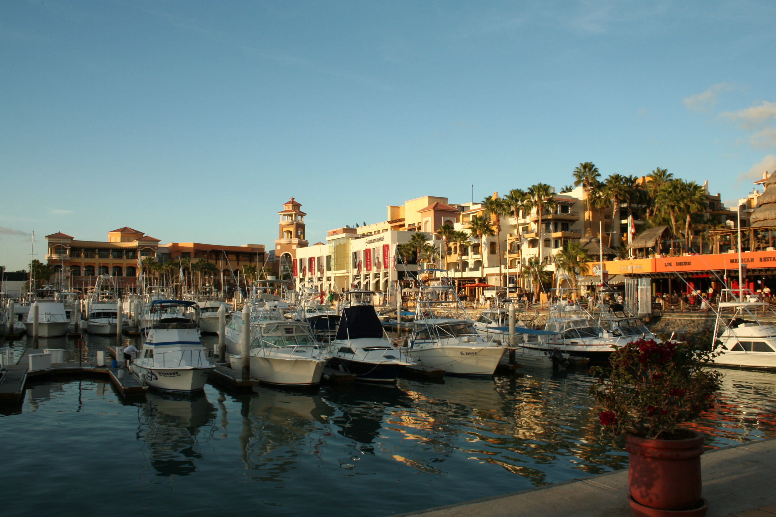 marina cabo san lucas, mexico