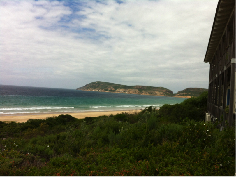 plett3