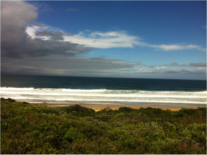 plett4