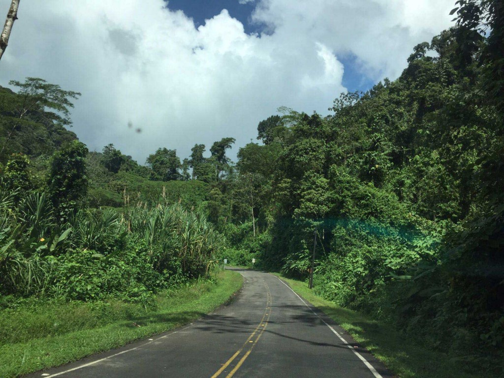 "Freeway" da Costa Rica