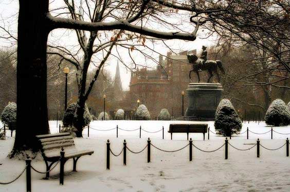 Boston Public Garden/ Crédito foto: https://br.pinterest.com/pin/298926493992050835/