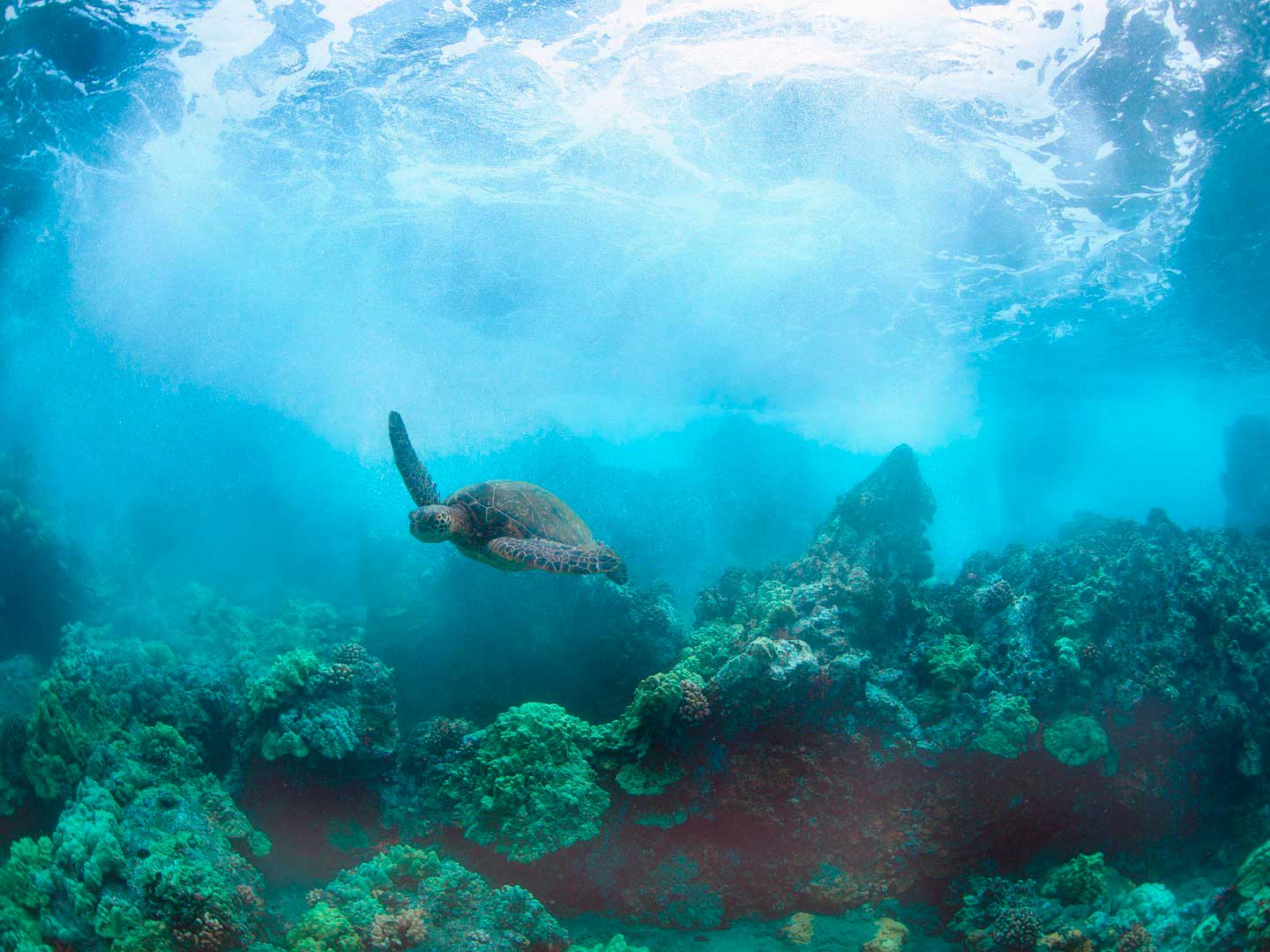 Crédito foto: http://www.cntraveler.com/galleries/2016-02-14/the-best-honeymoon-islands-in-the-world-readers-choice-awards-2015/19