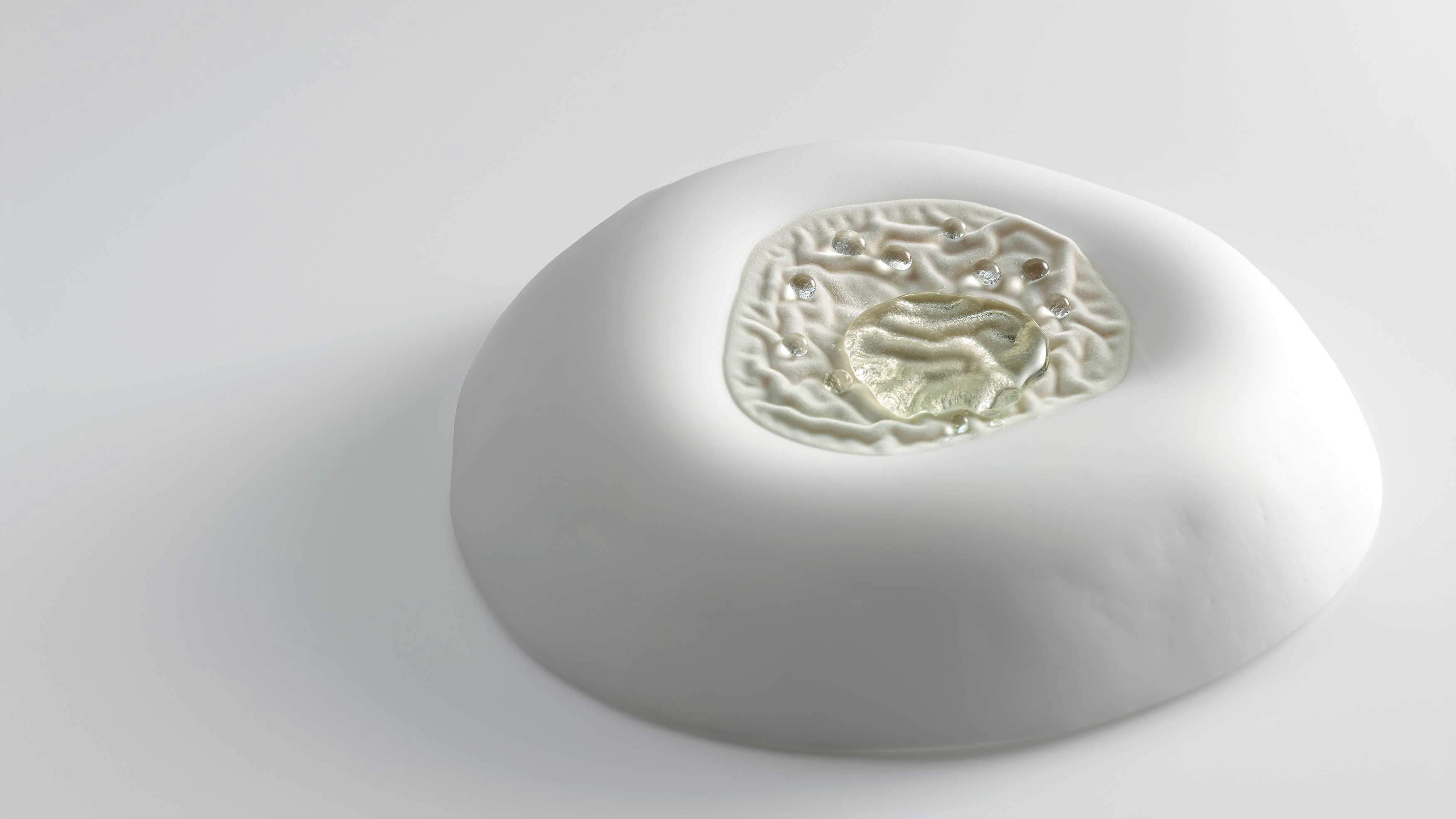 Crédito foto: https://www.finedininglovers.com/blog/food-drinks/mugaritz-dishes-2015/