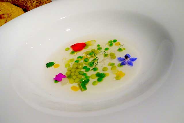 Vegetable stock/ Crédito foto: http://www.followmefoodie.com/2014/05/girona-spain-el-celler-de-can-roca-worlds-best-restaurant-chefs-tasting-menu-act-36/