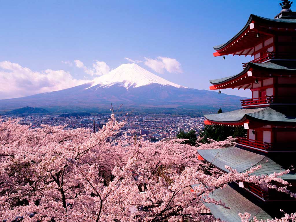 Crédito foto: http://www.viabrblog.com.br/todos-os-posts/o-mundo-na-hora-certa-abril-florada-das-cerejeiras-em-kyoto/