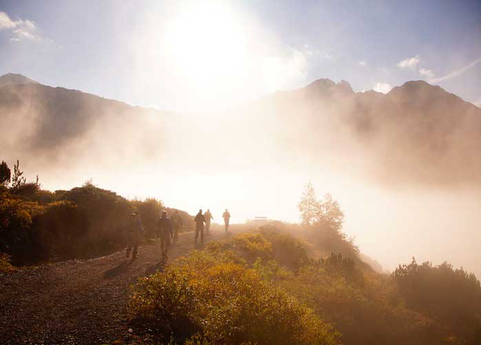 Crédito foto: https://www.jetsetter.com/photos/locarno/eqo375jQ/fog-forest-nature-sun