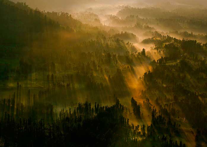 Crédito foto: https://www.jetsetter.com/photos/sampit/wZAErxXq/fog-forest-nature-sunset