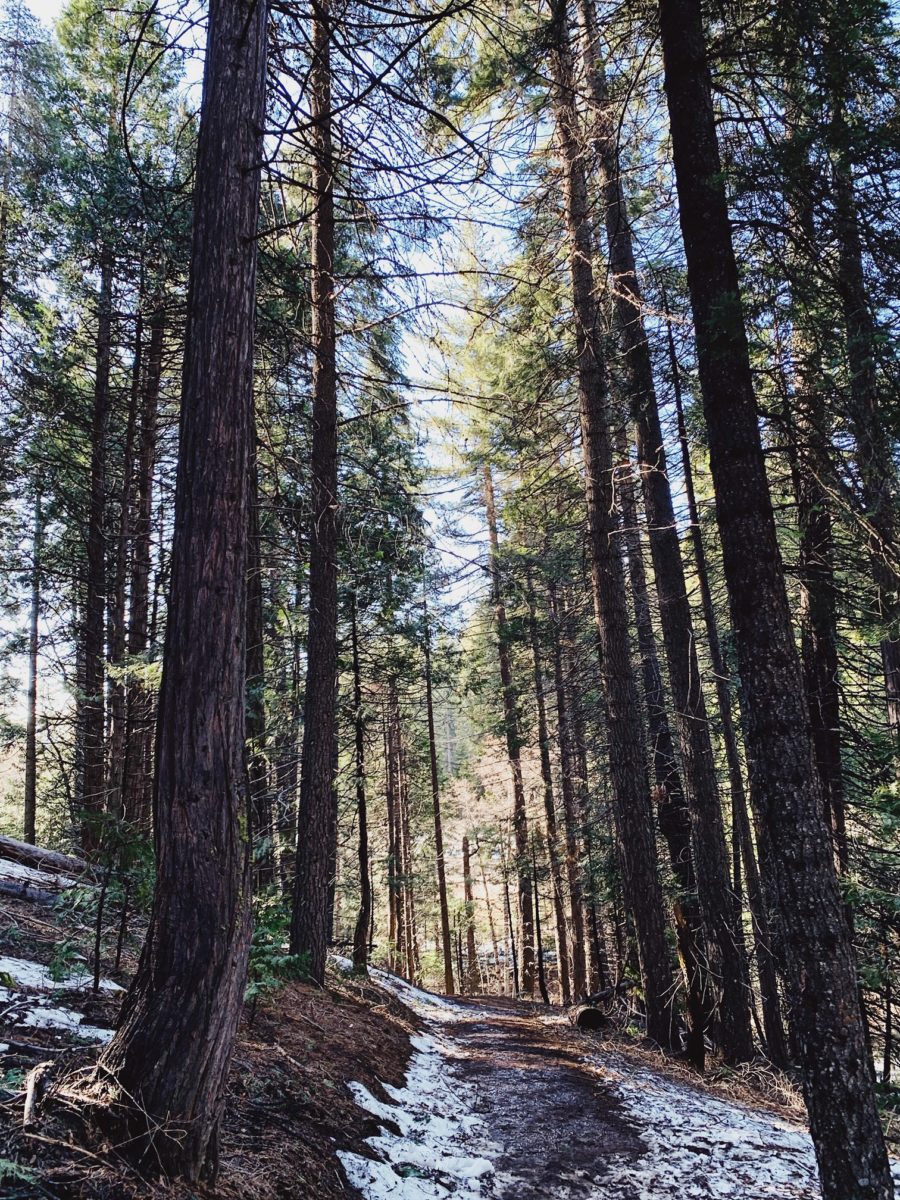 yosemite park