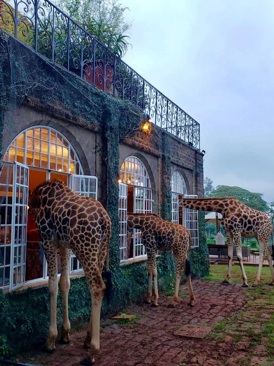 The Giraffe Manor Hotel