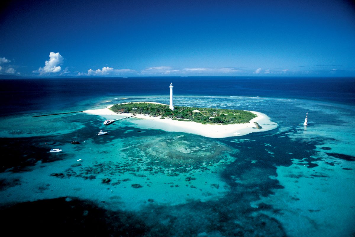 amedee island tour